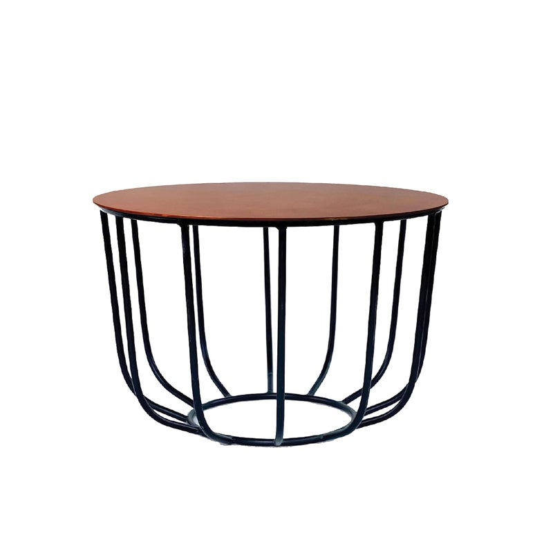 Meqstore Nesfur Engineered Wood Metal Round Coffee TableCenter Coffee Table Round Tea and Coffee Table for Hall Kitchen Living Room Home Decor Guest Room White and Gold - Image 1