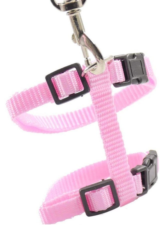 طقم حزام مقود للقطط - حزام مقود من النايلون قابل للتعديل مع مجموعة حزام للمشي مع الحيوانات الأليفة الصغيرة - سادة (وردي) - Image 2