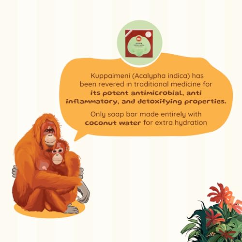 ROOT and SOIL - Indian Nettle Absolute Bathing Bar for Babies (Kuppaimeni) - 100 G | Newborn & infant Friendly | 100% Natural & Herbal | Sulphate-free | Cruelty-Free | No Preservatives. - Image 5