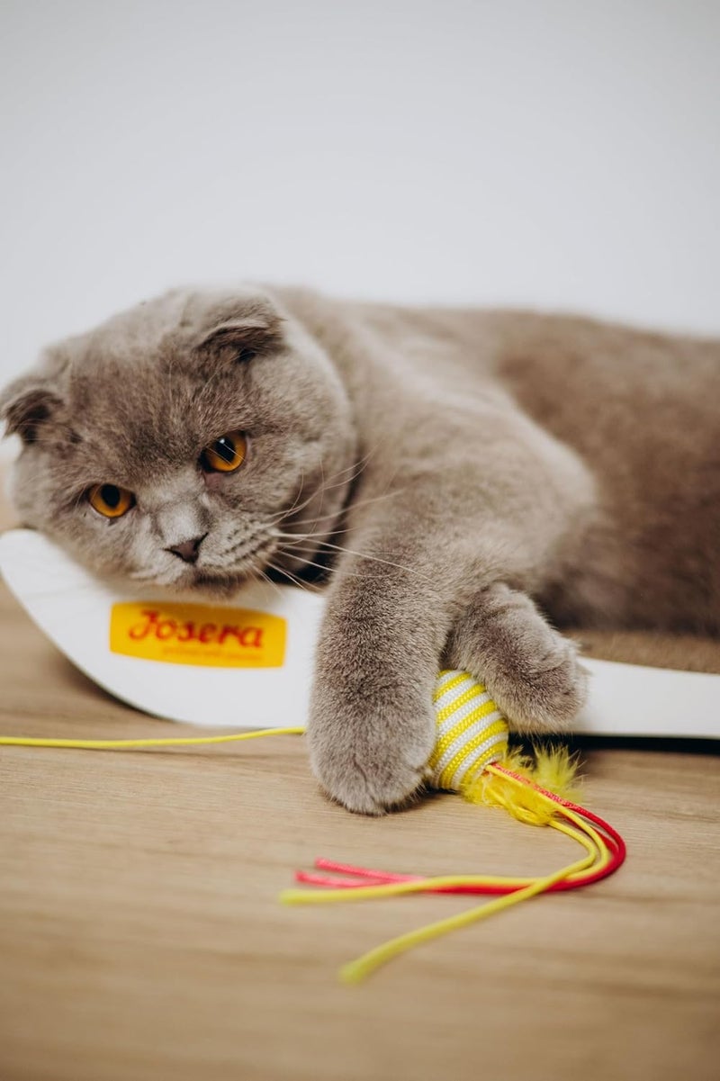 JOSERA JosiCat Sterilised Cat Dry Food Classic - 650 g - Image 3