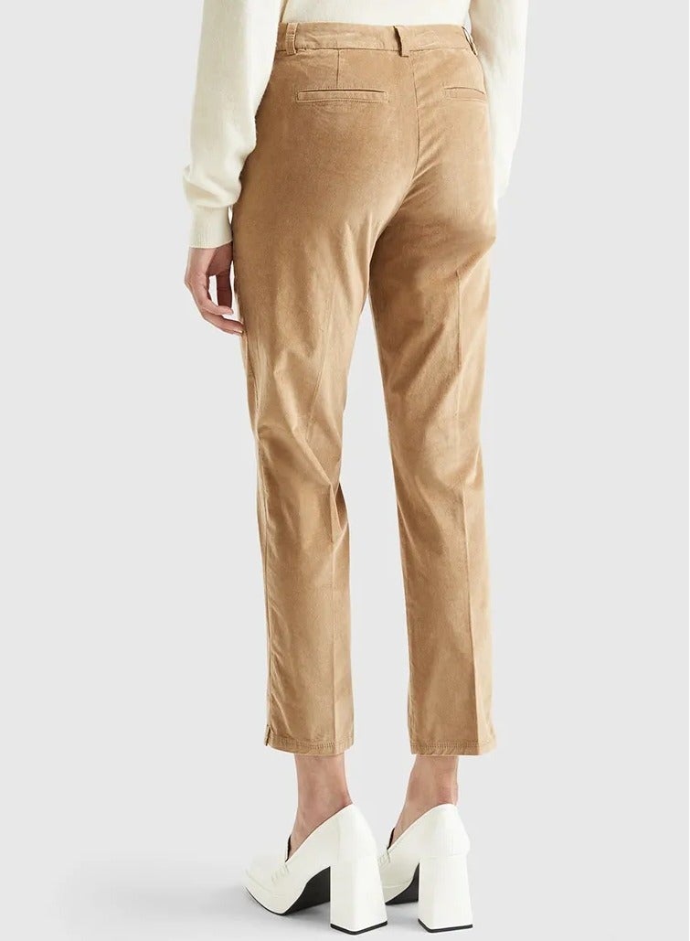 يونايتد كولورز أوف بينتيون تشينو مخملي مطاطي - Image 2