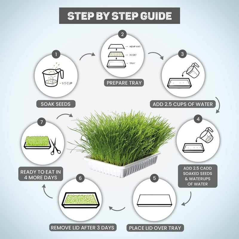 Trixie بذور عشب القطط مع وعاء للقطط الصغيرة وجميع القطط، بذور الشعير، مغذية وطبيعية، تدعم الصحة والهضم، 100 جرام (عبوة من 2) - Image 2