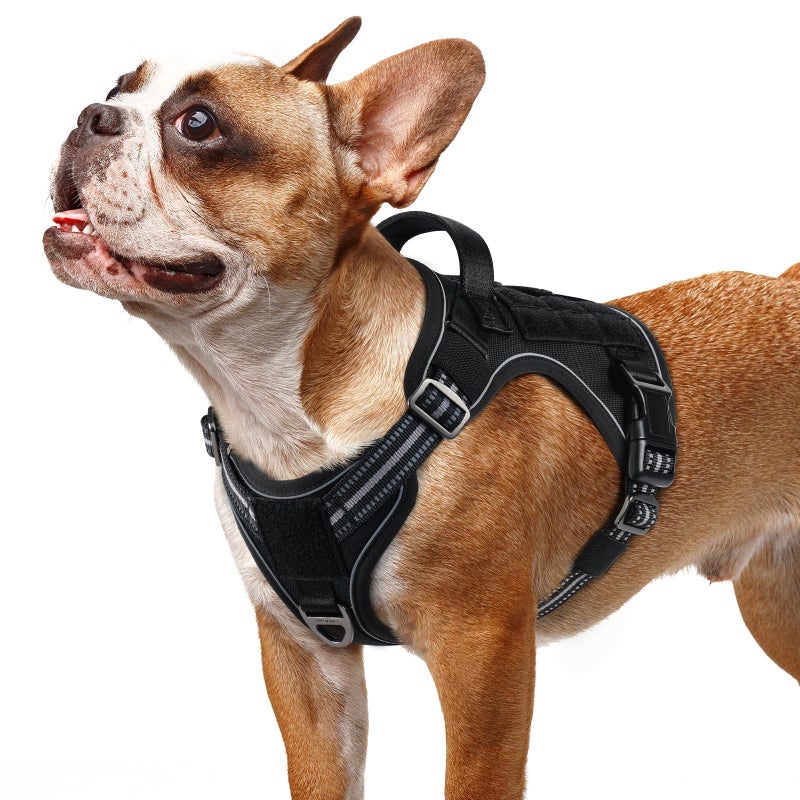rabbitgoo Dog Harness Small Sized No Pull, Tactical Service Pet Vest with Molle and Control Handle, Adjustable and Reflective Military Harness for Easy Walking and Training, Black, S - Image 1