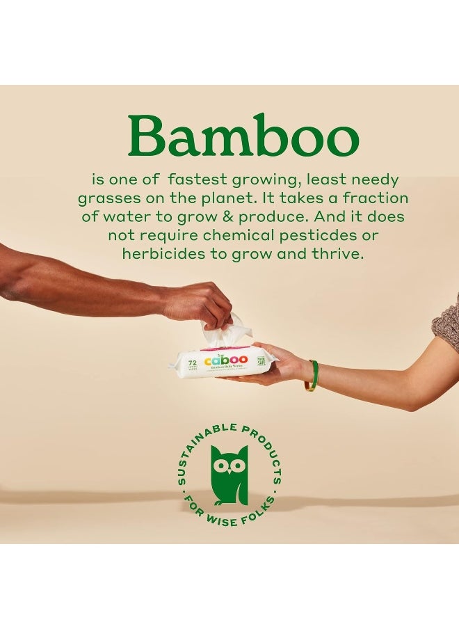 CABOO - Caboo Tree-Free Bamboo Baby Wipes, Eco-Friendly Naturally Derived Baby Wipes for Sensitive Skin - Image 1