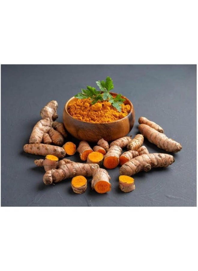 SuperLife  Turmeric Powder 200g | Naturally Occurring Curcumin | Superfood to Supports Healthy Joints | Anti-inflammatory & Potent Antioxidant, 7 oz - Image 2