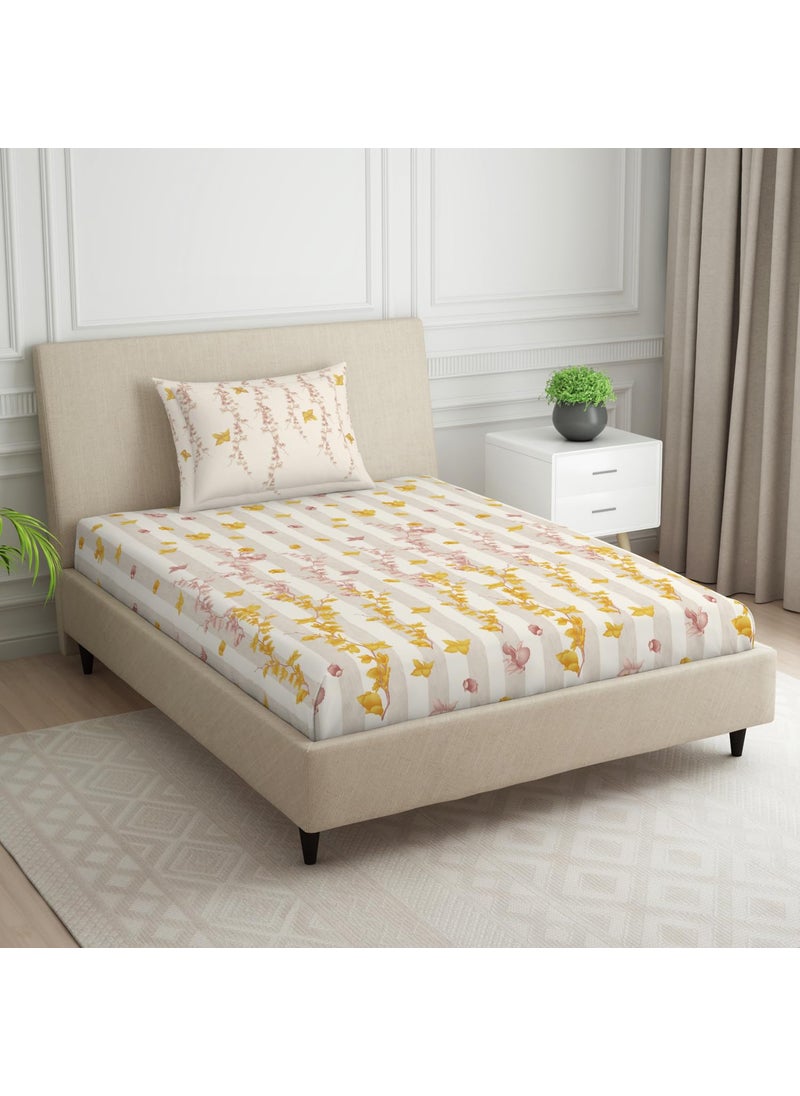 SPACES SPACES 100 Cotton Single Bedsheet with 2 Pillow Covers Size 60 x 88 inch 144 TC Bed Sheet for Single Bed Breathable Pure Cotton Small Size Bedsheet PHULERI Floral Cream  - Image 2