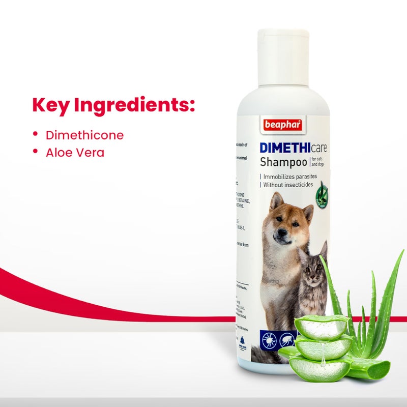 Beaphar Dimethicare Shampoo Dog/Cat, 200 Millilitre - Image 2