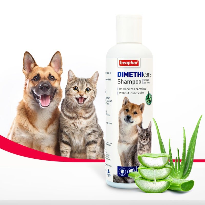 Beaphar Dimethicare Shampoo Dog/Cat, 200 Millilitre - Image 1