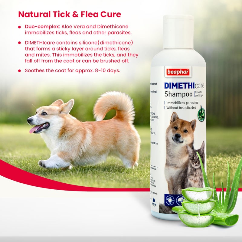 Beaphar Dimethicare Shampoo Dog/Cat, 200 Millilitre - Image 5
