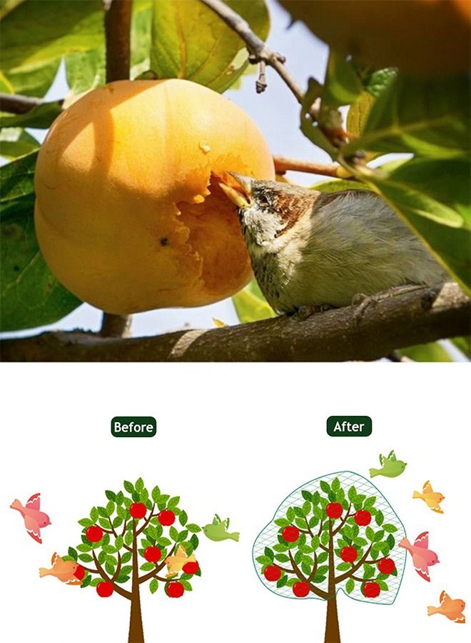 HomarKet Bird Netting for Garden Protect Vegetable Plants and Fruit Trees trellis patio Netting for Birds pets poultry Animals Extra-Large 13.1ftX32.8ft Black - Image 5