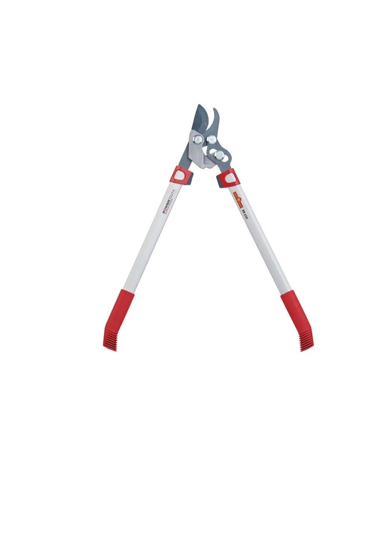 وولف جارتن ولف جارتن بيسك بلس  انقطاع التيار - Image 2