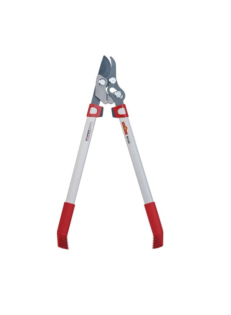 وولف جارتن ولف جارتن بيسك بلس  انقطاع التيار - Image 1