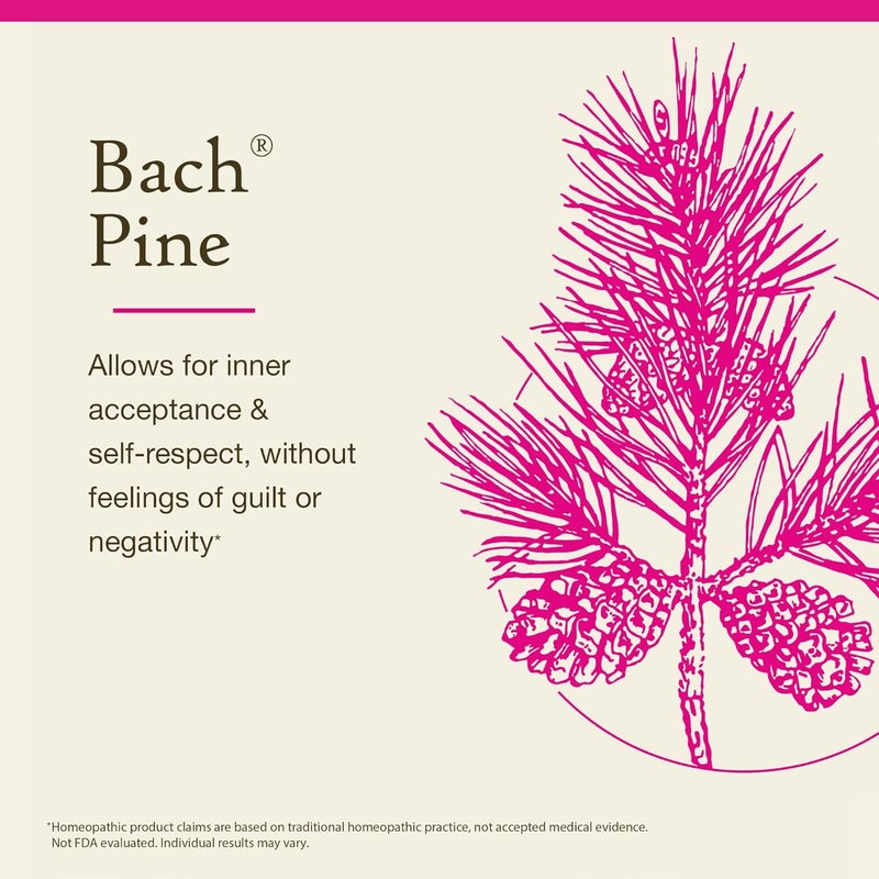 Bach Flower Remedies Pine - Homeopathic Essence for Self-Respect - 20 mL - Image 3
