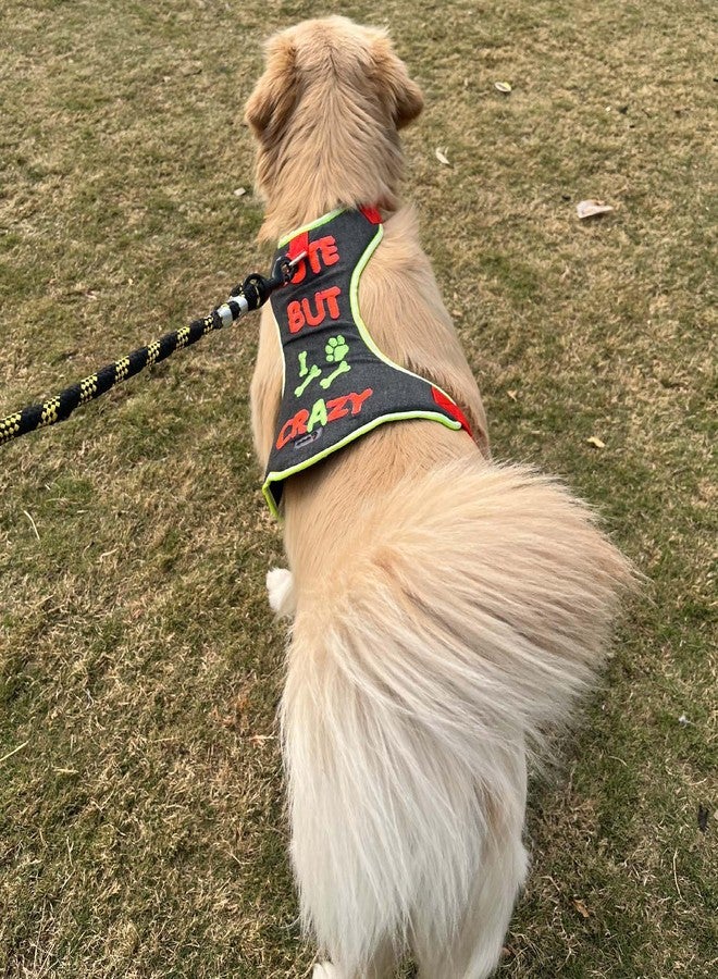 Lulala No-Pull Dog Harness-Adjustable- Padded Breathable Pet Vest with Crazy Pattern for Dogs (Small) - Image 3