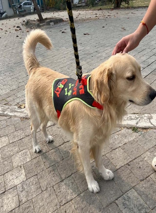 Lulala No-Pull Dog Harness-Adjustable- Padded Breathable Pet Vest with Crazy Pattern for Dogs (Small) - Image 1