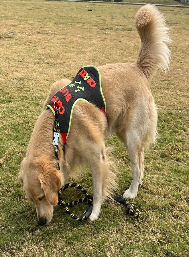 Lulala No-Pull Dog Harness-Adjustable- Padded Breathable Pet Vest with Crazy Pattern for Dogs (Small) - Image 4