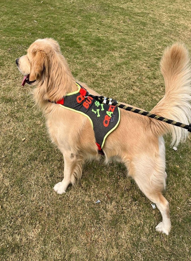 Lulala No-Pull Dog Harness-Adjustable- Padded Breathable Pet Vest with Crazy Pattern for Dogs (Small) - Image 5