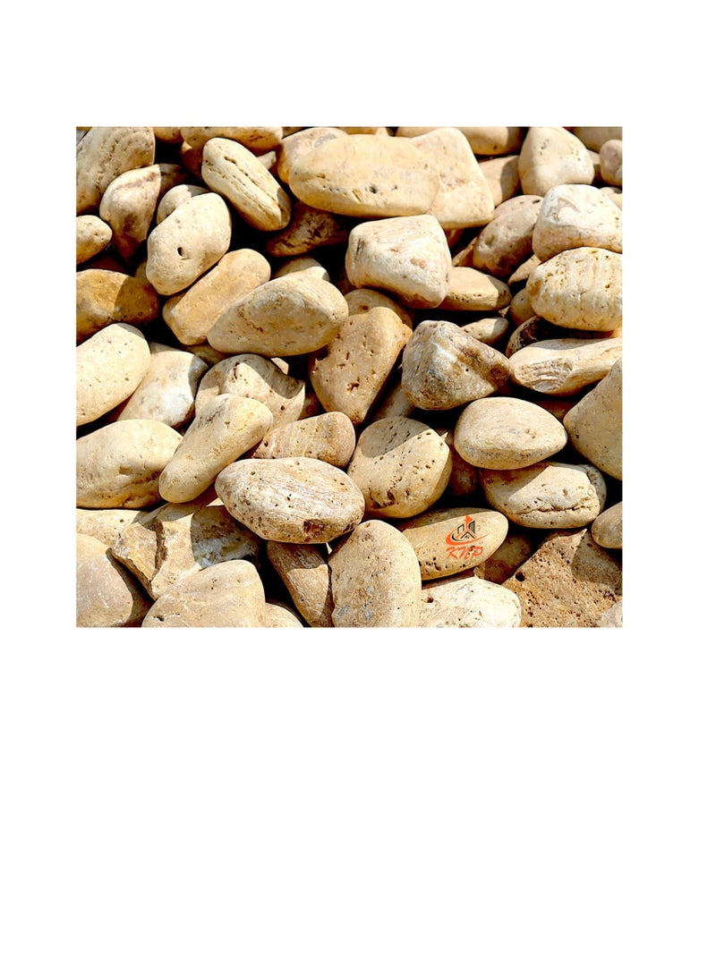 KNP Yellow Forest River Stone Natural Garden Material 1-2 cm 20 kg - Image 1