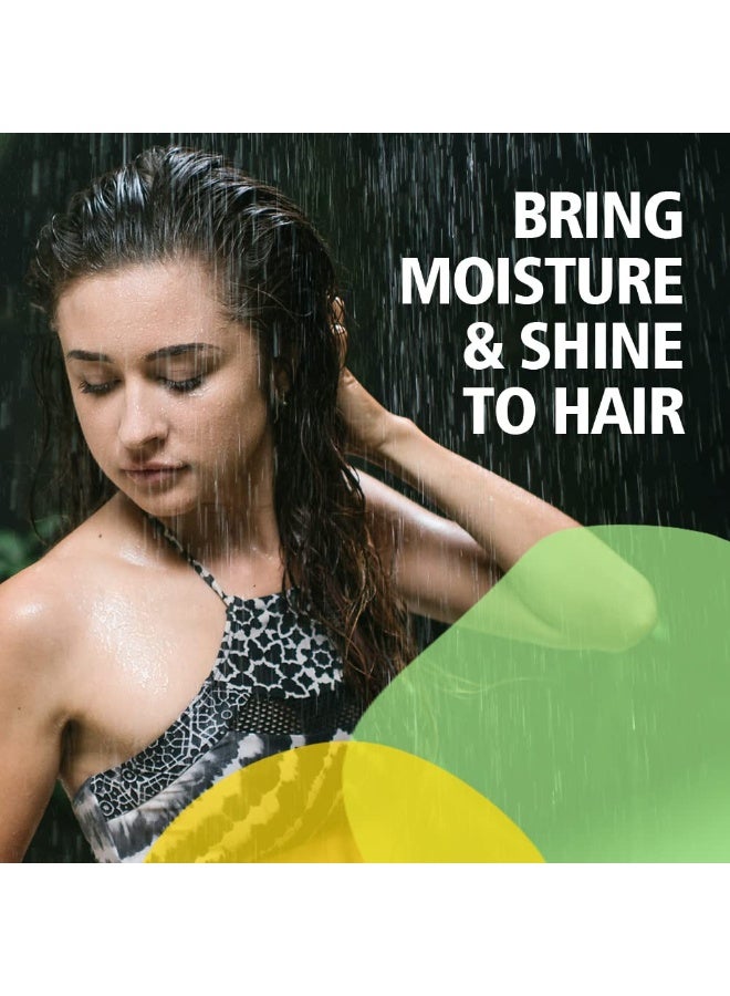 صني شامبو أرنيكا متوازن الحموضة جديد ومحسن من هيربالز لشعر ناعم ولامع وصحي | كانثاريس يعطي فروة رأس باردة وصحية | يعيد الرطوبة واللمعان بشعر عطري، 1 لتر - Image 5