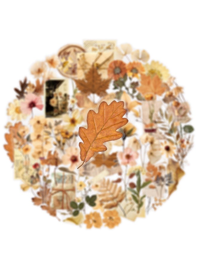 50 قطعة من ملصقات أوراق الزهور المجففة، ملصقات شفافة جمالية لفصل الخريف، ملصقات نباتية عتيقة لسجلات القصاصات، مقاومة للماء وشفافة للحرف اليدوية المصنوعة من الراتنج المزخرفة - Image 3