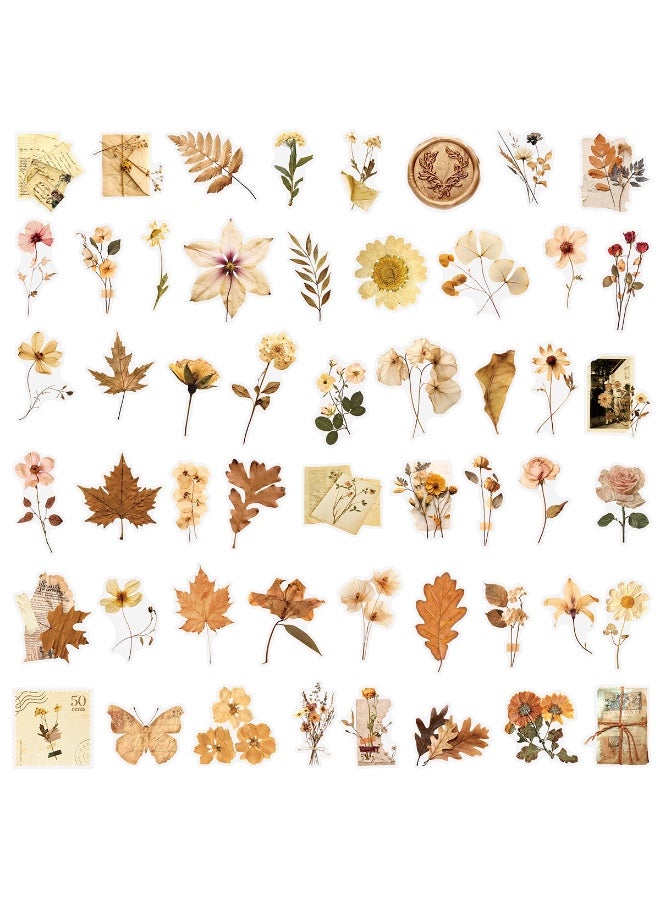 50 قطعة من ملصقات أوراق الزهور المجففة، ملصقات شفافة جمالية لفصل الخريف، ملصقات نباتية عتيقة لسجلات القصاصات، مقاومة للماء وشفافة للحرف اليدوية المصنوعة من الراتنج المزخرفة - Image 2