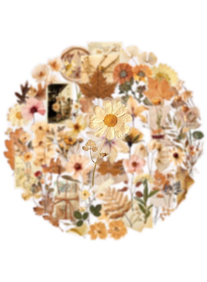 50 قطعة من ملصقات أوراق الزهور المجففة، ملصقات شفافة جمالية لفصل الخريف، ملصقات نباتية عتيقة لسجلات القصاصات، مقاومة للماء وشفافة للحرف اليدوية المصنوعة من الراتنج المزخرفة - Image 4