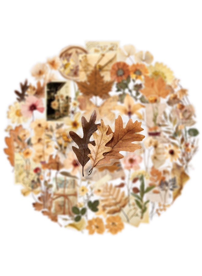 50 قطعة من ملصقات أوراق الزهور المجففة، ملصقات شفافة جمالية لفصل الخريف، ملصقات نباتية عتيقة لسجلات القصاصات، مقاومة للماء وشفافة للحرف اليدوية المصنوعة من الراتنج المزخرفة - Image 5