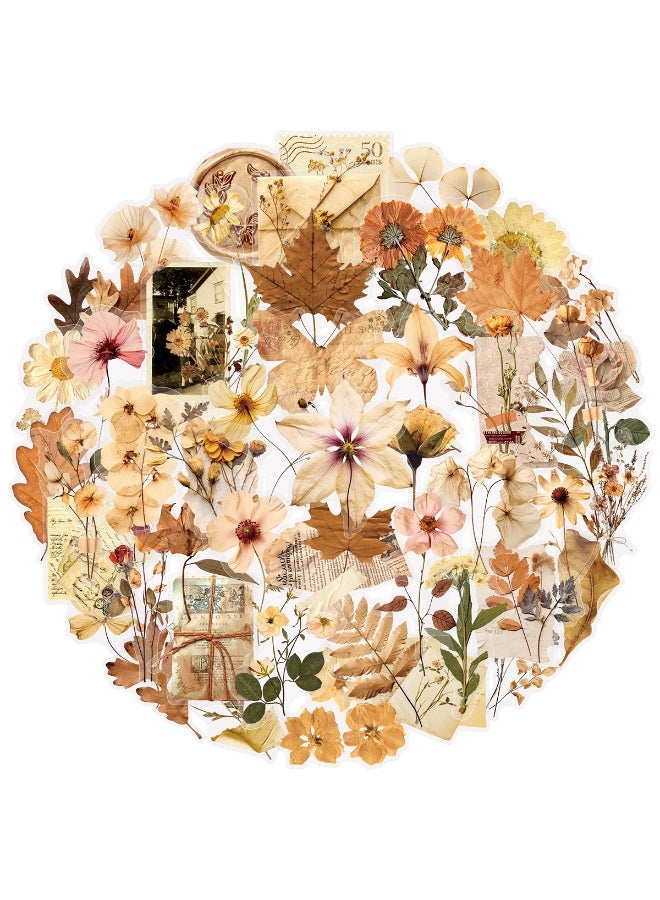 50 قطعة من ملصقات أوراق الزهور المجففة، ملصقات شفافة جمالية لفصل الخريف، ملصقات نباتية عتيقة لسجلات القصاصات، مقاومة للماء وشفافة للحرف اليدوية المصنوعة من الراتنج المزخرفة - Image 1