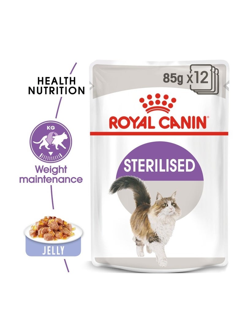 رويال كانين طعام جيلي معقم من فيلين هيلث نيوتريشن (طعام رطب - أكياس) 12 × 85 جم - عبوة من 12 قطعة - Image 2