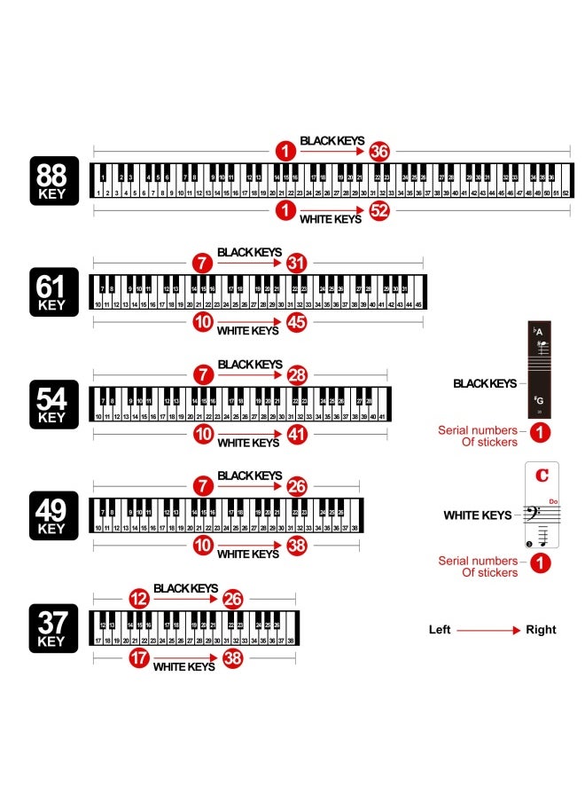 Piano Keyboard Stickers for 88 61 54 49 37 Key Bold Large Letter Piano Stickers for Learning Removable Piano Keyboard Letters Notes Label for Beginners and Kids Multicolor