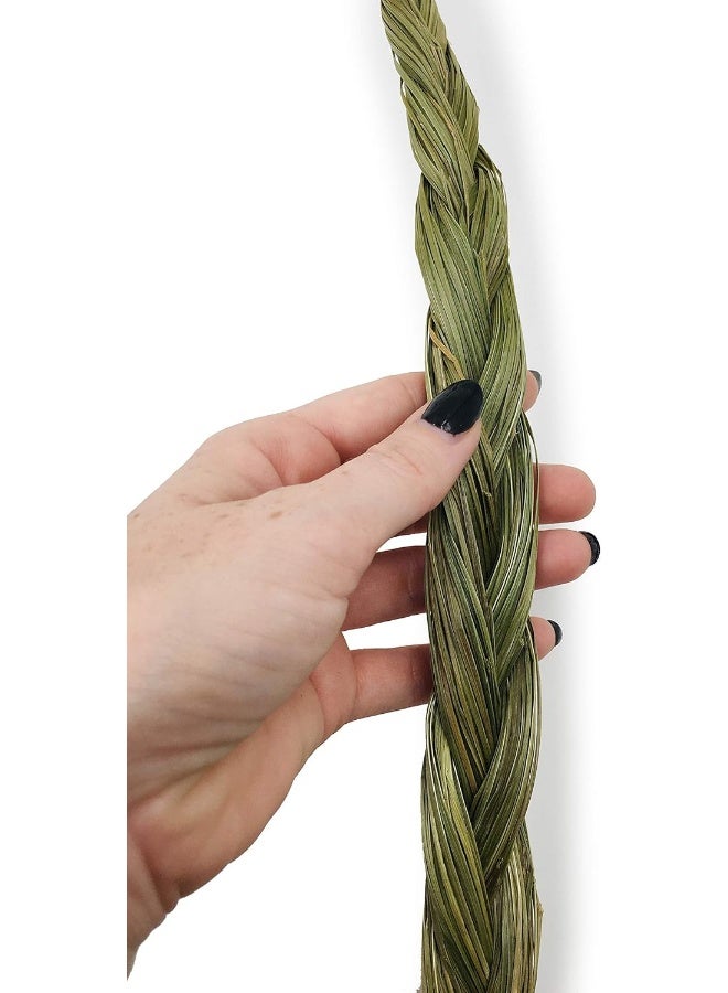 Alternative Imagination Sweetgrass Incense Braid, Extra Large (24"+) - Image 2