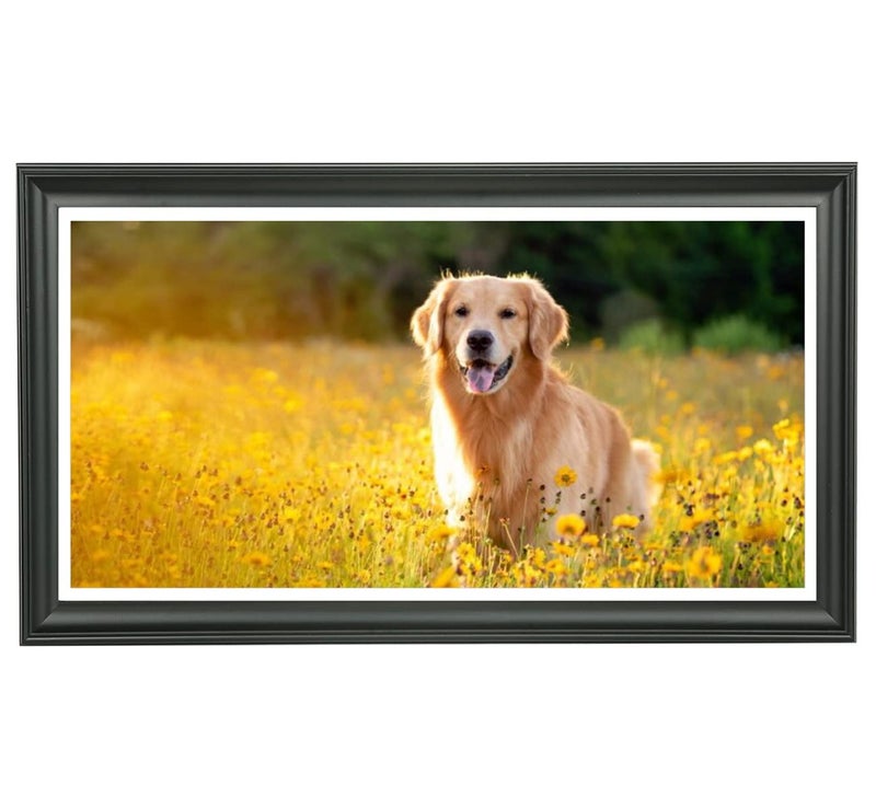 LTYHHK 12x23 Panoramic Picture Frames Solid Wood 11x22 Newspaper Frame Displays Picture11x22 with Mat or 12x23 Inch without Mat Poster Frame 12x23 Photo Frames Family Wall 11x22 Picture Frame Black