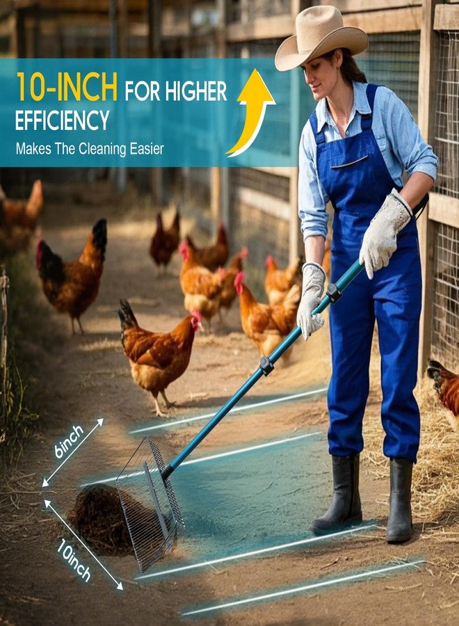 Polarduck Chicken Poop Scooper & Rake: Stainless Steel Heavy Duty Litter Scooper Sand Sifter Shovel with Adjustable Handle for Chicken Coop & Pet Waste Cleaning (22"-41") | Chicken Essentials (Basic) - Image 2
