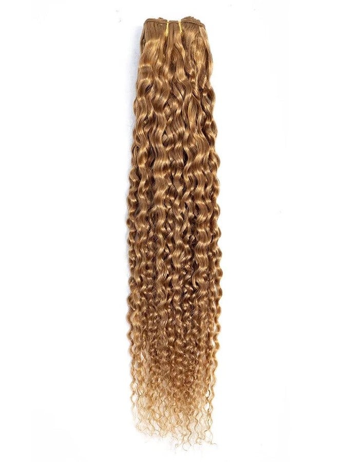 FEEL ME 1 Piece 22 Inch Honey Blonde Kinky Curly Brazilian Hair Weave Bundles Colored 27 Brazilian Curly Human Hair Bundles 10A Unprocessed Deep Curly Virgin Hair Extension 100g - Image 1