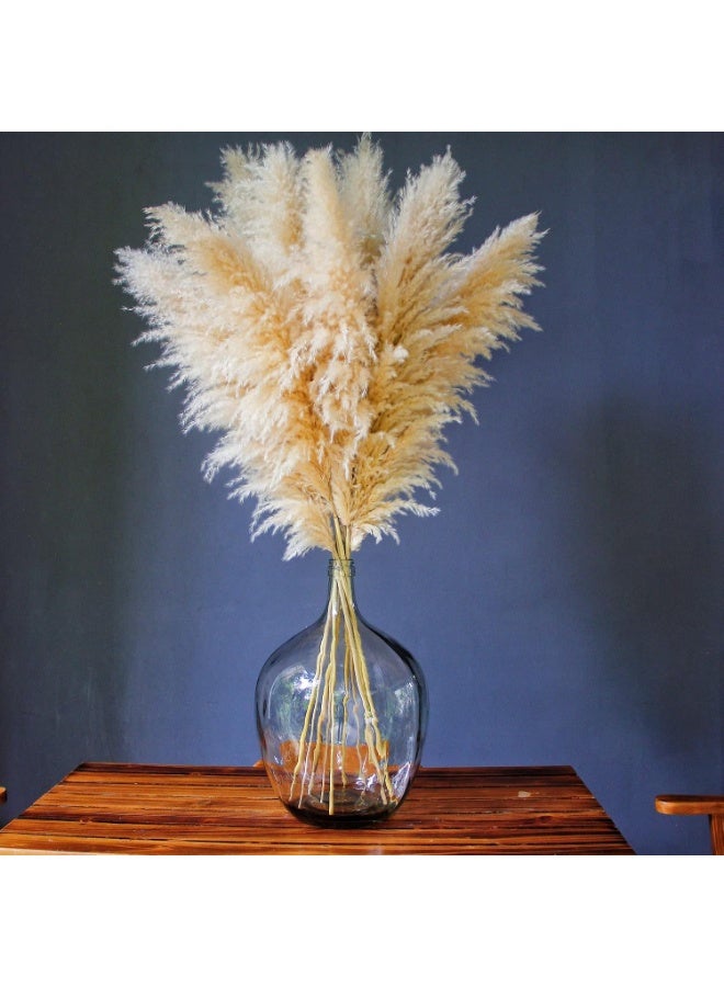 LATIFA 10 Stems 46-inch Dried Pampas Grass Decor with Glass Bottle Vase - Image 2