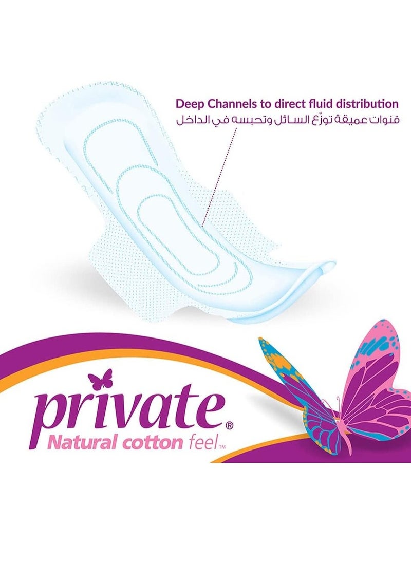 Private 30 Pcs Normal with Wings Feminine Pads - Image 4