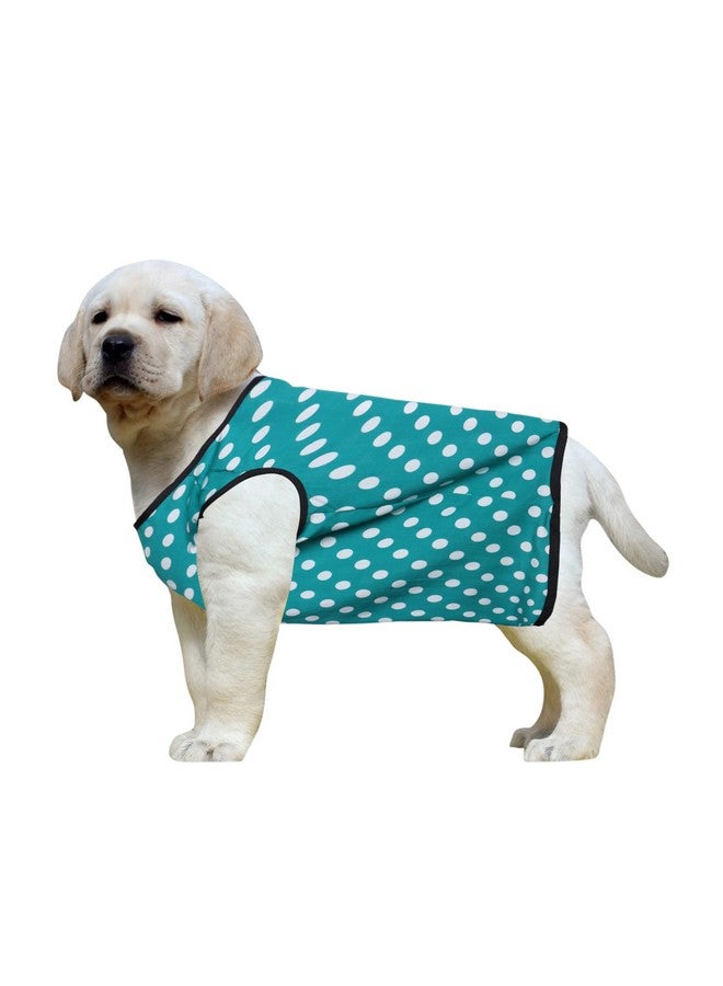 ويستيرن إرا تي شيرت كلاب من القطن الناعم | ملابس كلاب مريحة وجيدة التهوية | سترة بدون أكمام للجراء | (أزرق سماوي بولكا) (كبير جدًا) (28 بوصة) - Image 1