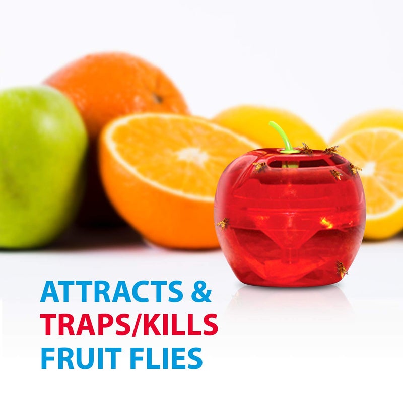 RAID Fruit Fly Traps for Indoors by Raid | 2 Lures + 2 Refills | Effective Fruit Fly Killer & Gnat Traps for House Indoor Use | Easy to Use & Safe Food-Based Lure Fly Catcher - Image 4