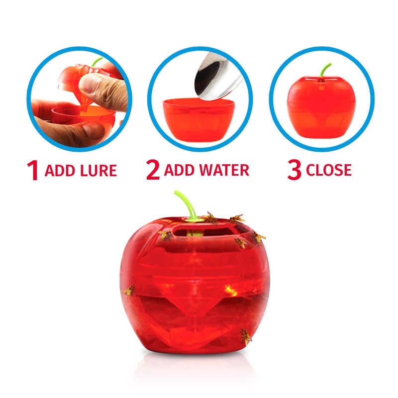 RAID Fruit Fly Traps for Indoors by Raid | 2 Lures + 2 Refills | Effective Fruit Fly Killer & Gnat Traps for House Indoor Use | Easy to Use & Safe Food-Based Lure Fly Catcher - Image 5