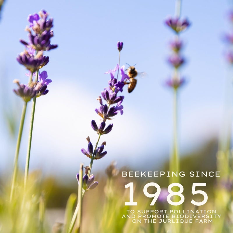 Jurlique. Lavender Body Oil - Image 3