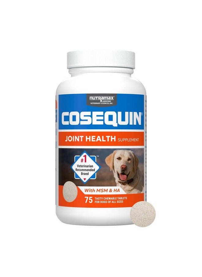 Nutramax Laboratories Nutramax Laboratories Cosequin Maximum Strength Joint Health Supplement for Dogs - With Glucosamine, Chondroitin, MSM, and Hyaluronic Acid, 75 Chewable Tablets (Pack of 1)  - Image 1
