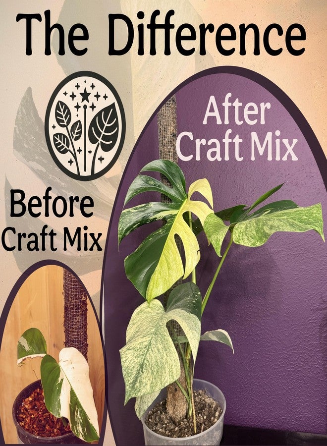 Grow Queen Craft Aroid Potting Mix- Elite Organic Alocasia, Philodendron, Monstera Soil Mix, Chunky, Well Draining Potting Soil for Indoor Plants, All Tropical Plants & Houseplants, Sustainable & Peat Free 8QT - Image 4