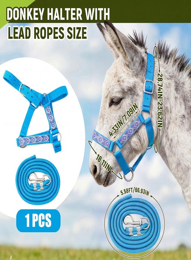 Yeyeplum 1 Set Miniature Donkey Halter with Lead Ropes, Cute and Stylish Adjustable Nylon Head Collar Set for Miniature Donkeys (Lake Blue) - Image 2