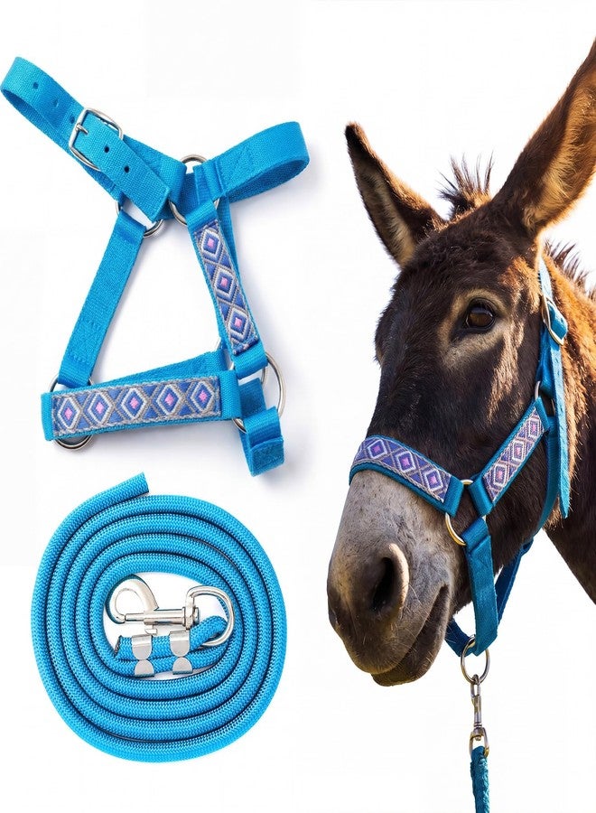 Yeyeplum 1 Set Miniature Donkey Halter with Lead Ropes, Cute and Stylish Adjustable Nylon Head Collar Set for Miniature Donkeys (Lake Blue) - Image 1