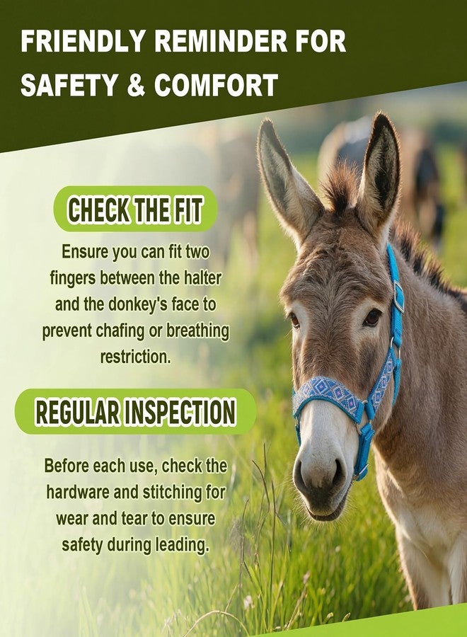Yeyeplum 1 Set Miniature Donkey Halter with Lead Ropes, Cute and Stylish Adjustable Nylon Head Collar Set for Miniature Donkeys (Lake Blue) - Image 5