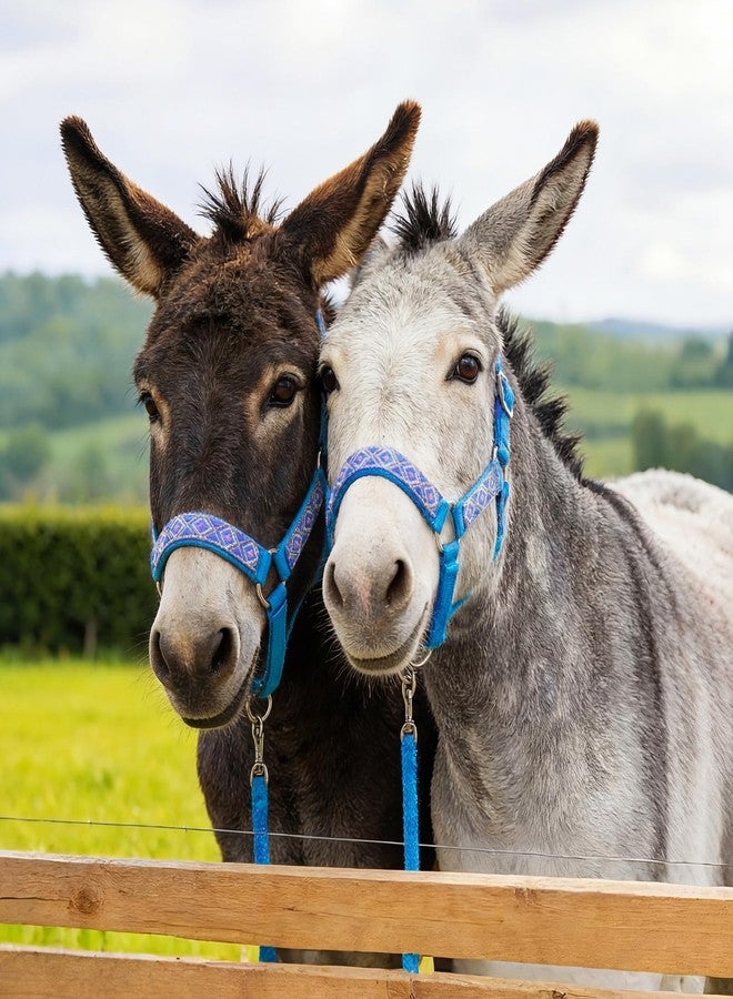 Yeyeplum 1 Set Miniature Donkey Halter with Lead Ropes, Cute and Stylish Adjustable Nylon Head Collar Set for Miniature Donkeys (Lake Blue) - Image 4