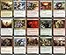 MTG Decks & More Dinosaur Commander Deck Custom Built Elite MTG EDH 100 Card - Image 4