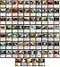 MTG Decks & More Dinosaur Commander Deck Custom Built Elite MTG EDH 100 Card - Image 2