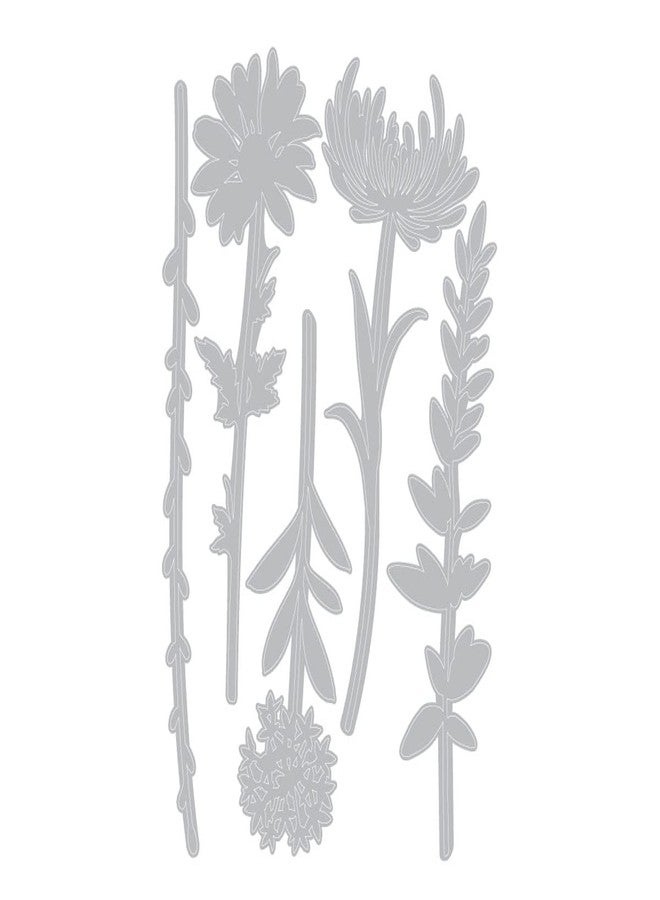 Sizzix Thinlits Die Set , Wildflower Stems #1 by Tim Holtz, 5 Pack, One Size, Multicolor 5 Piece - Image 4