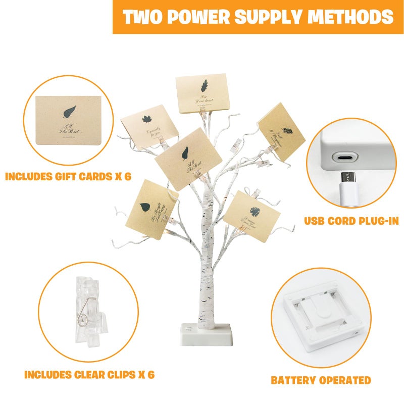 EAMBRITE Money Tree Gift Holder, Lighted Birch Tree 2FT 24LED, Battery/USB Powered Timer Light Up Display Twig Gift Card Tree with 6 Clear Clips and 6 Cards for Home Christmas Graduation Photo Memo - Image 3